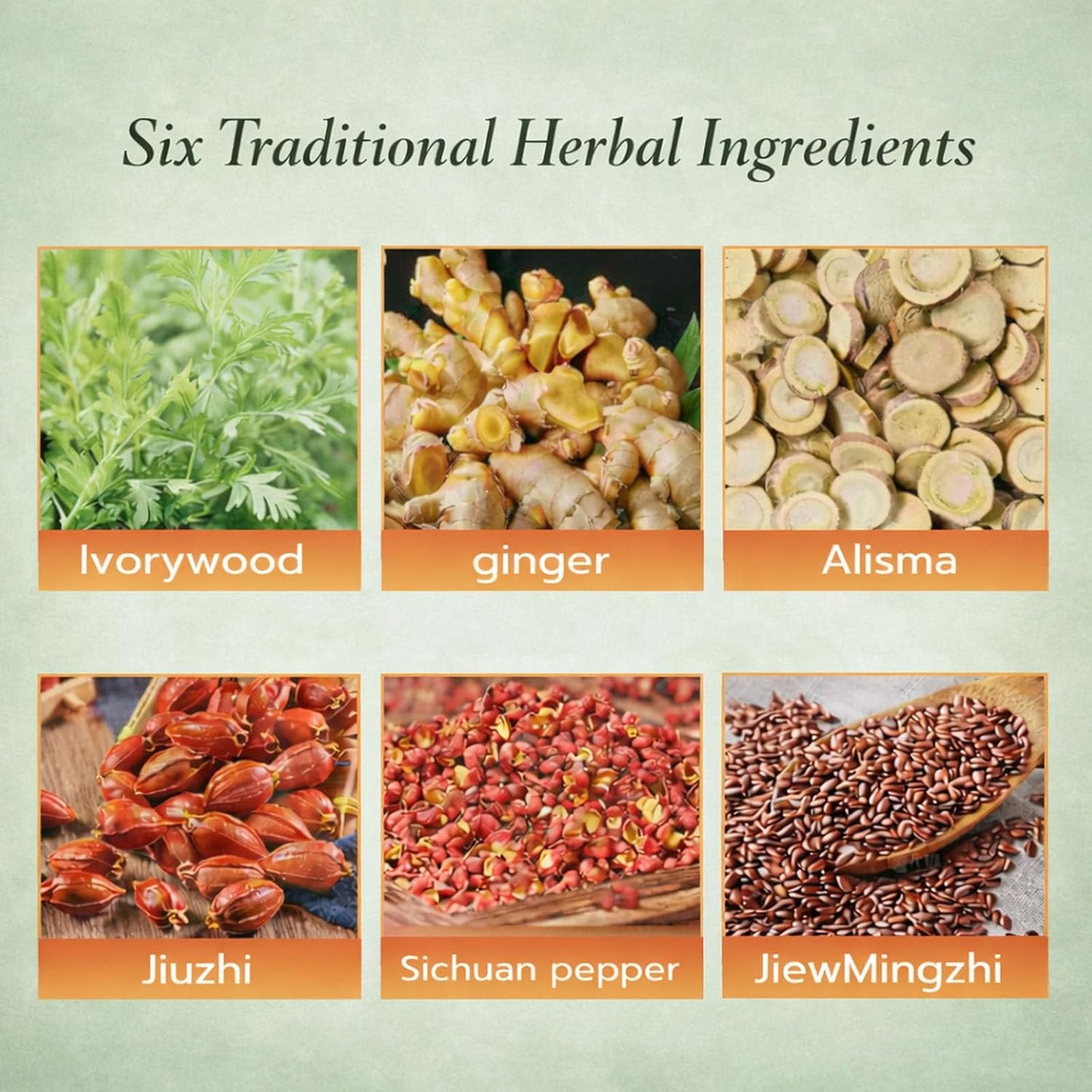 Herbal Patch Pad Balance